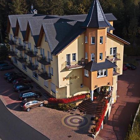 Świeradów-Zdrój Pasja Bed & Breakfast エクステリア 写真