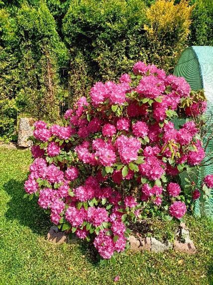 Świeradów-Zdrój Pasja Bed & Breakfast エクステリア 写真