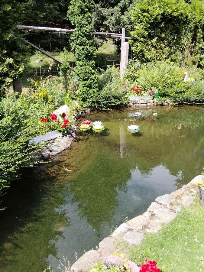 Świeradów-Zdrój Pasja Bed & Breakfast エクステリア 写真