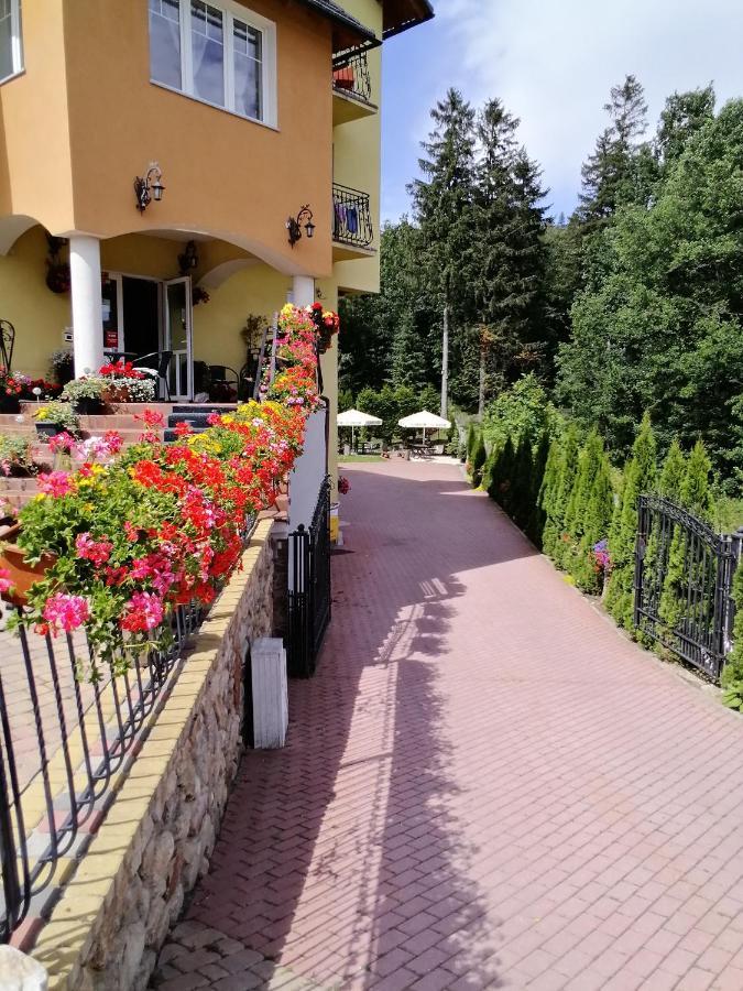 Świeradów-Zdrój Pasja Bed & Breakfast エクステリア 写真