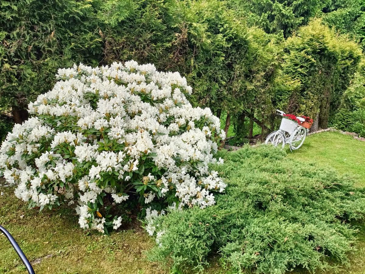 Świeradów-Zdrój Pasja Bed & Breakfast エクステリア 写真